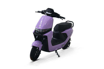 Purple Purple