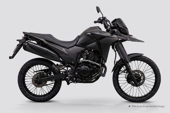 Bajaj Adventure Bajaj Adventure