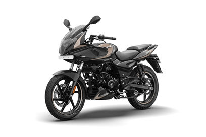Black Copper Beige Black Copper Beige