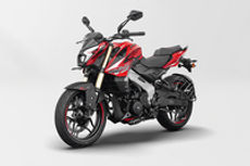 Pulsar NS400Z Pewter Grey Colour