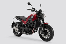 Benelli Leoncino 500 Colours