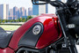 Benelli Leoncino 500 Fuel Tank (Right)