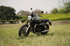 क्रॉमवेल 1200 Timberwolf Grey