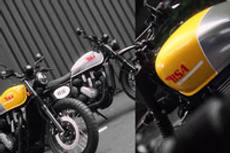 BSA B65 Scrambler के स्पेसिफिकेशन
