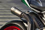 Ducati 1299 Panigale Exhaust View