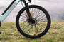Elecson Alpha Front Tyre View