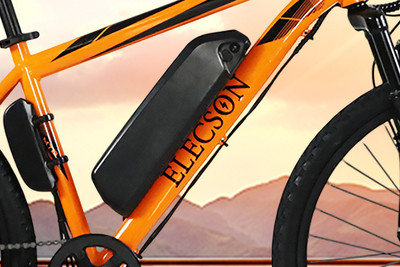 Elecson ZX Brand Badge