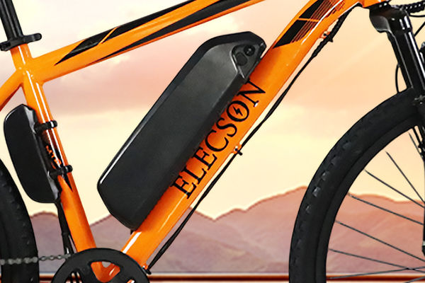 Elecson ZX Brand Badge Elecson ZX Brand Badge