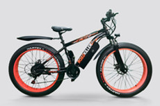 एलेक्सन फैट टायर कलर्स