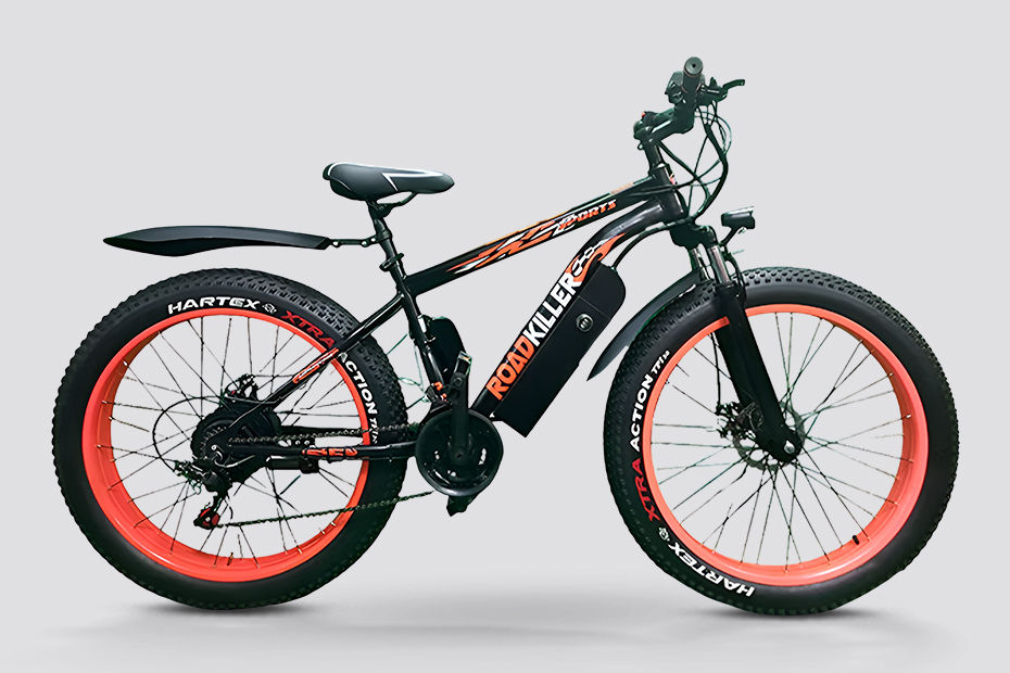 https://cdn.bikedekho.com/processedimages/elecson/fat-tyre/source/fat-tyre697303048b005.jpg