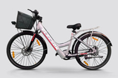 लेडीबर्ड सिल्वर