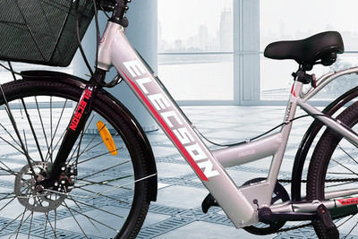 Elecson Ladybird Brand Badge