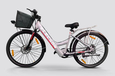 Elecson Ladybird Variants