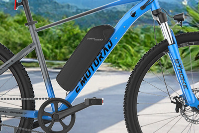 EMotorad X1 Brand Badge