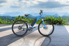 ईमोटोरैड एक्स1 रेंज