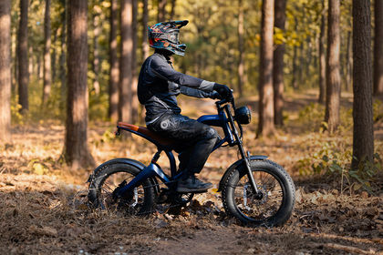 EMotorad Viper Riding: Side Profile (Right) View EMotorad Viper Riding: Side Profile (Right) View