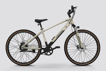 EMotorad X3 EMotorad X3