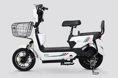 Essel Energy GET 1 Brochure