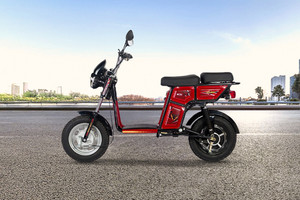 Detel Electric Vehicle Detel India Bike India Detel Easy Company