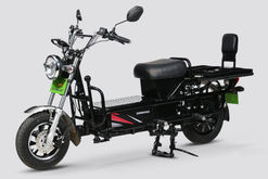 Evolet Dhanno
