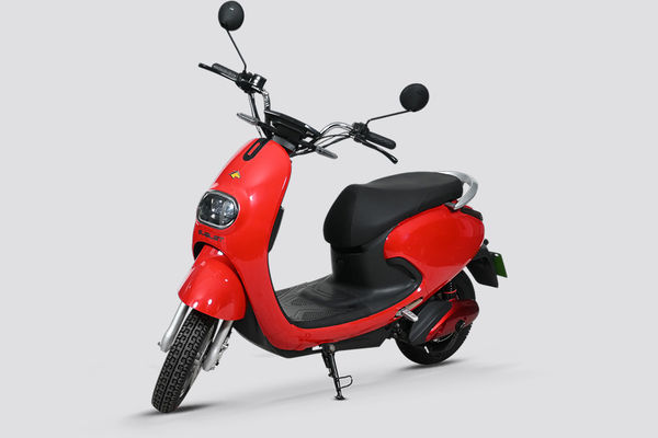 Evolet Pony Evolet Pony