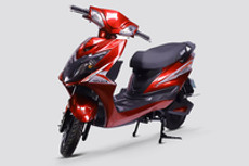 Gaura Warrior 5G Colours