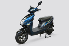 Green Invicta Colours