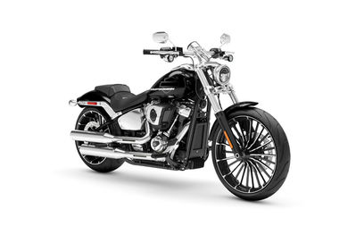 Vivid Black Vivid Black