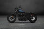 Harley Davidson Iron 1200