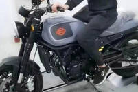 Harley Davidson Sportster 500 User Reviews