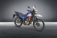 Hero XPulse 210 के स्पेसिफिकेशन