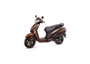 Matte Mature Brown