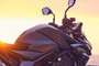 Honda CB1000 Hornet SP Fuel Tank (Right)