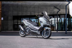 Honda Forza 350 कलर्स