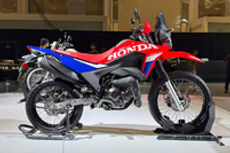 Honda XR 300 Rally All Specifications & Features