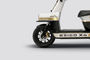 iGowise BeiGo X4 Front Tyre