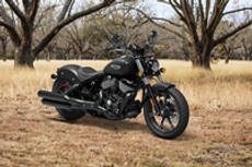 Chief Dark Horse Gray