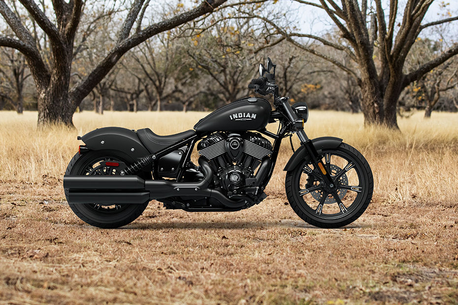Indian Chief Dark Horse image 2