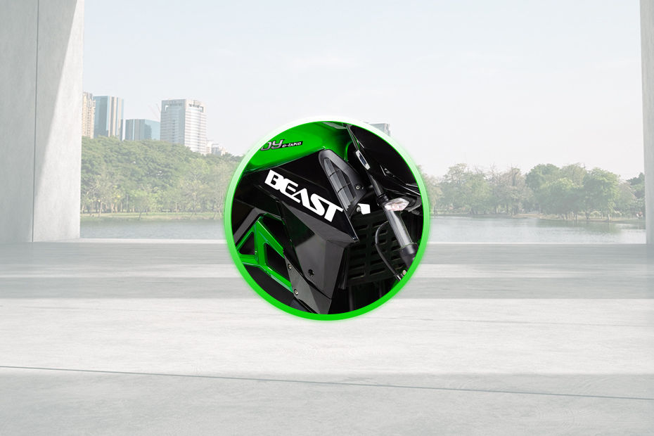 Joy e-bike Beast image 4
