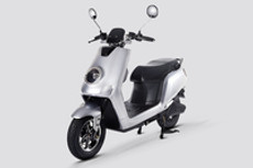 ग्लोब सिल्वर