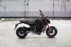 Specifications of Joy e-bike Monster