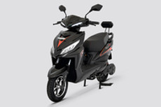 वुल्फ Grey With Orange