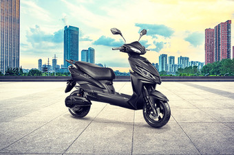 Joy e-bike Wolf Plus