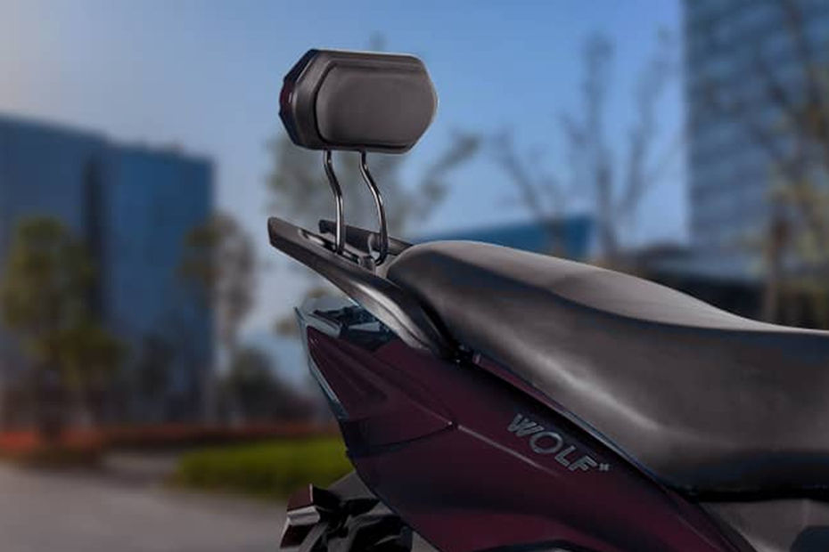 Joy e-bike Wolf Plus image 6
