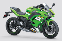 2020-ninja-6506912c9d5acef9.jpg