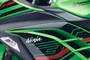 Kawasaki Ninja 300 Model Name