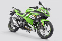 Kawasaki Ninja 300 Price in Bhawanipatna (On Road)