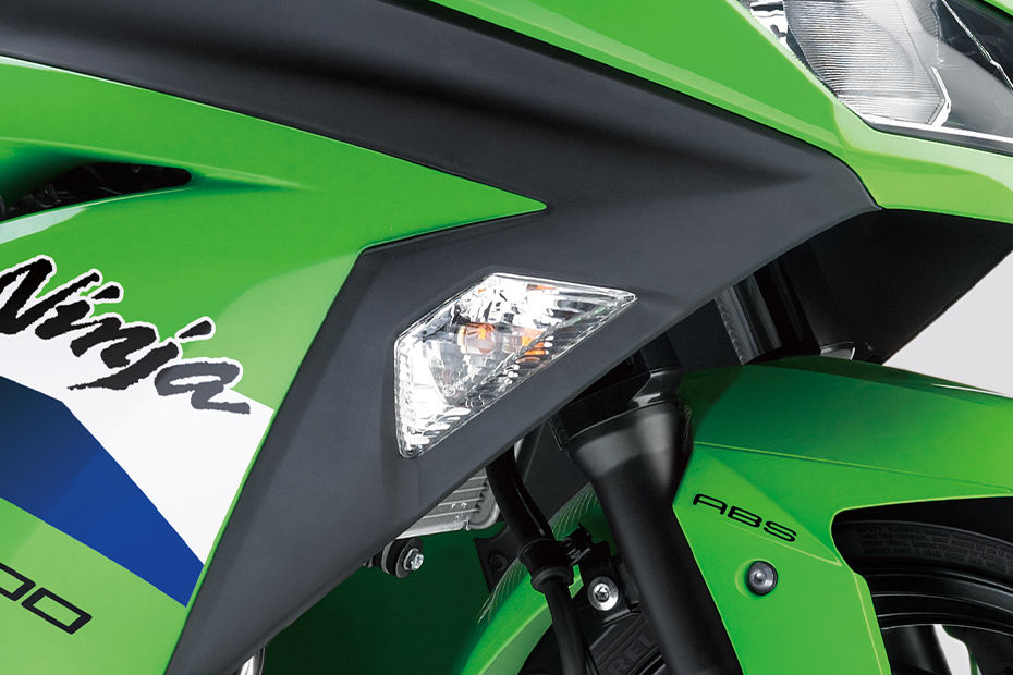 Kawasaki Ninja 300 image 12