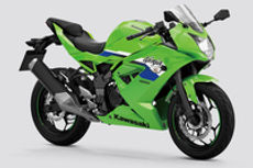 Kawasaki Ninja 125 Colours Kawasaki Ninja 125 Colours