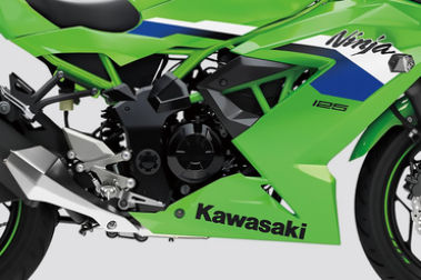 Kawasaki Ninja 125 Lime Green Colour - Ninja 125 Lime Green Price